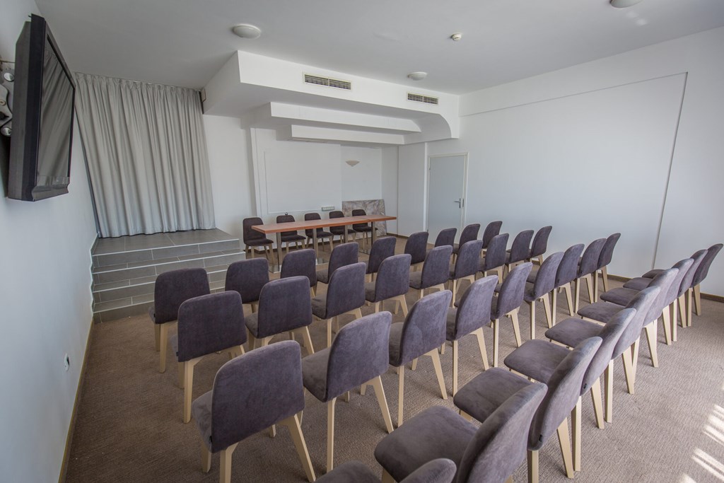 Arena Hotel Holiday: Conferences