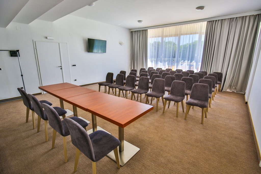 Arena Hotel Holiday: Conferences