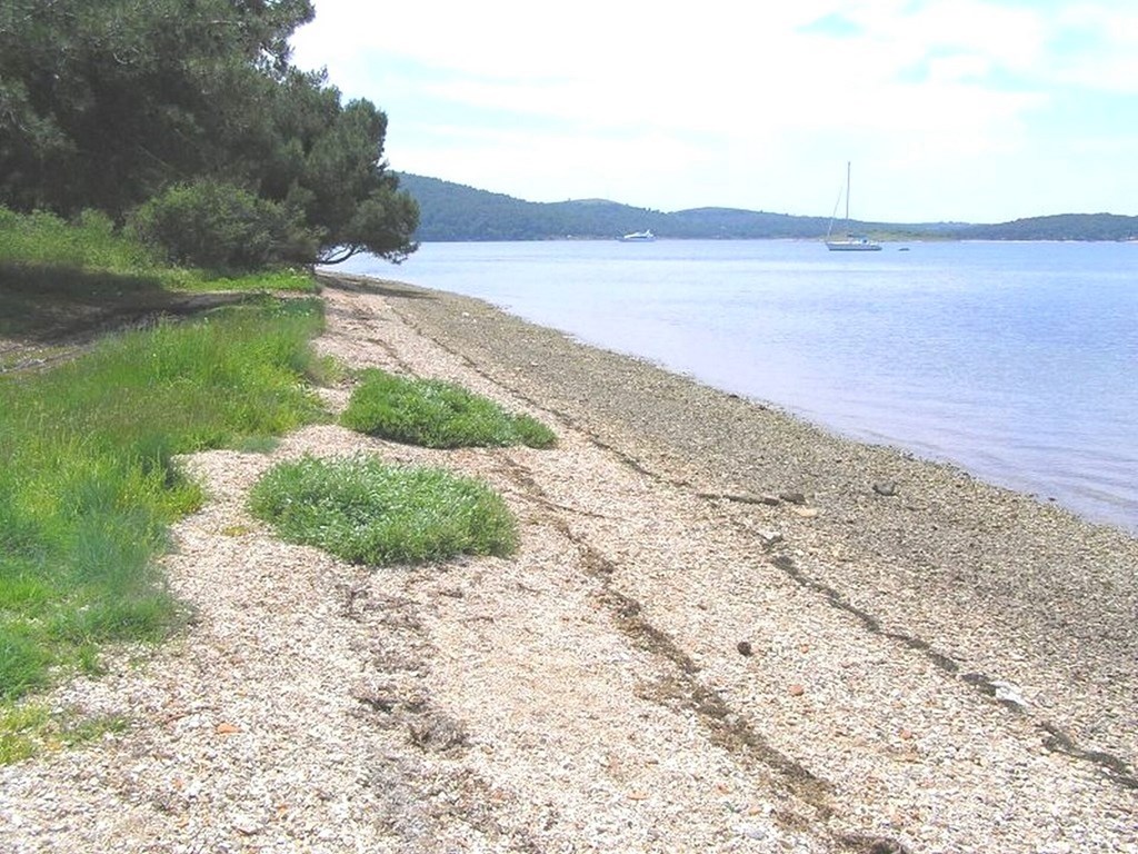 Apartments Snjezana: Beach