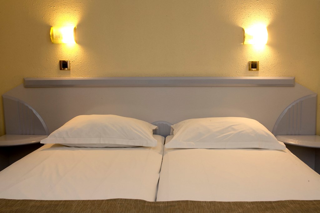 Hotel Plavi Plava Laguna: Room DOUBLE STANDARD