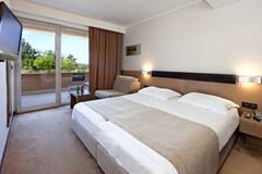 Hotel Molindrio Plava Laguna: Room DOUBLE WITH BALCONY - photo 19