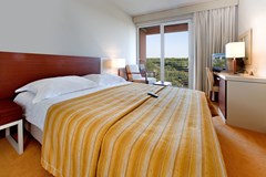 Hotel Albatros Plava Laguna: Room DOUBLE WITH BALCONY - photo 47