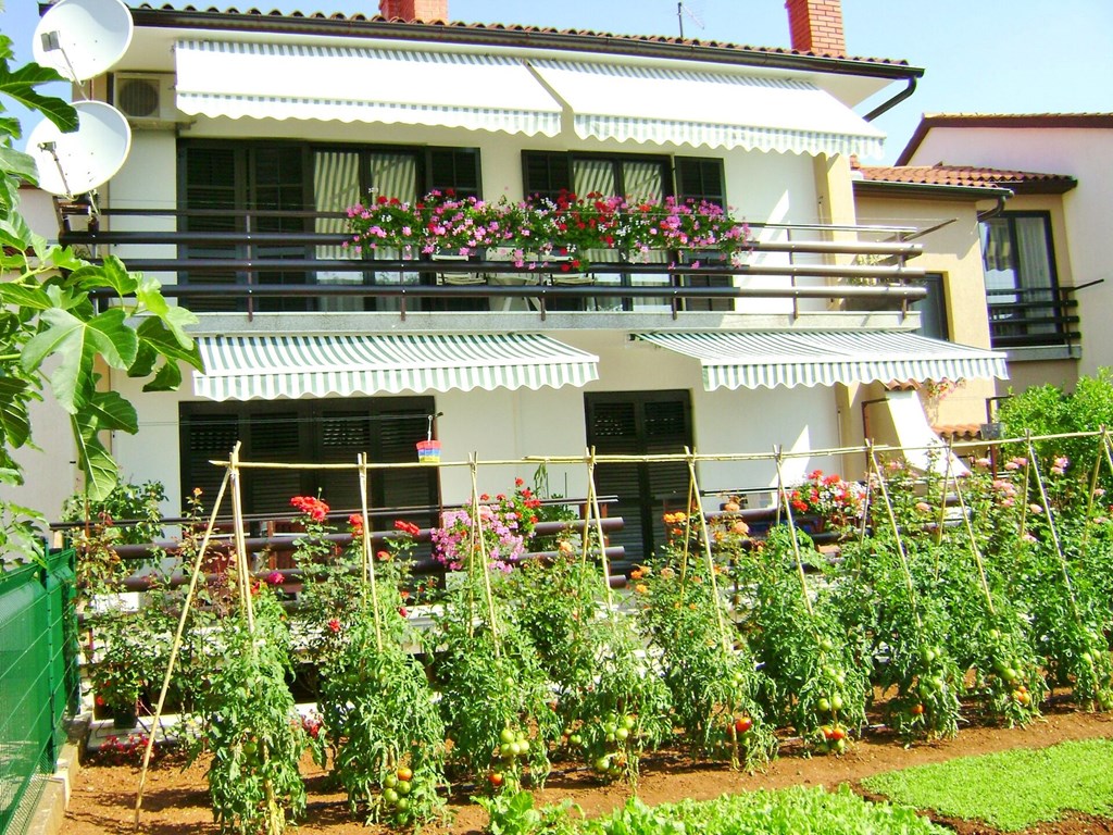 Apartments Miljenko: General view