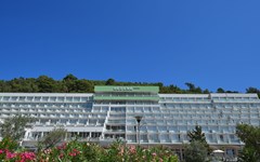 Hotel Hedera: General view - photo 5