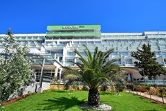 Hotel Hedera: General view - photo 10