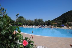 Hotel Hedera: Pool - photo 18