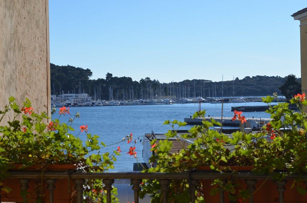 Villa Tuttorotto: Terrace