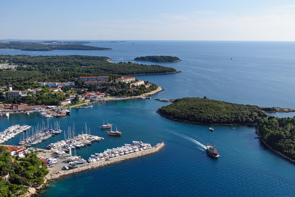 Hotel Pineta: General view