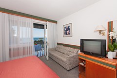 Hotel Pineta: Room DOUBLE PREMIUM - photo 22