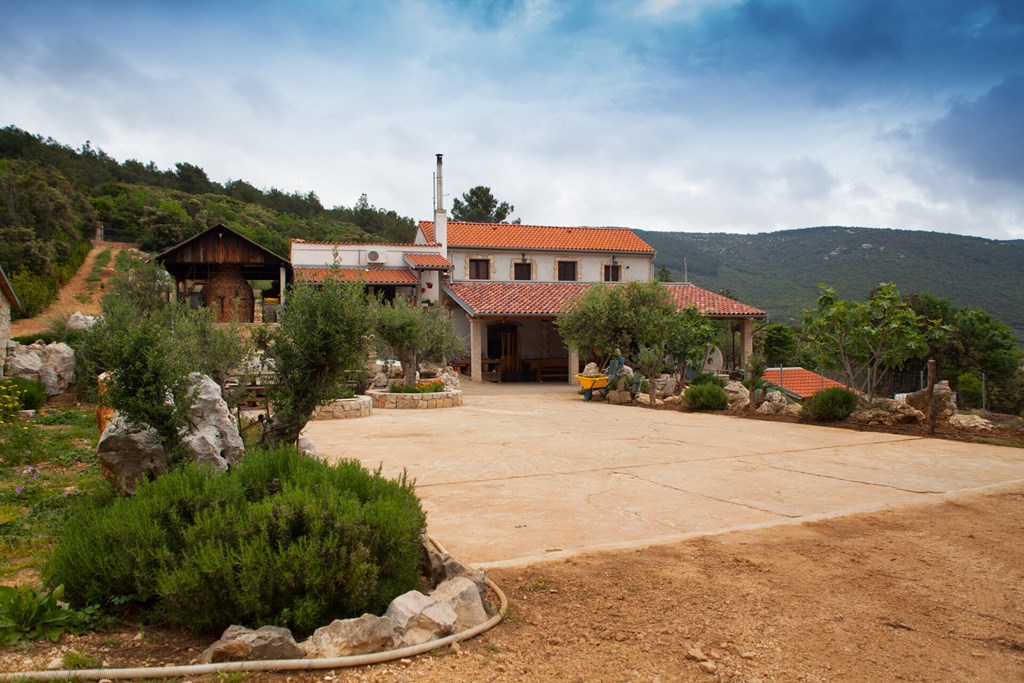 Hotel Zlatni Lav: General view