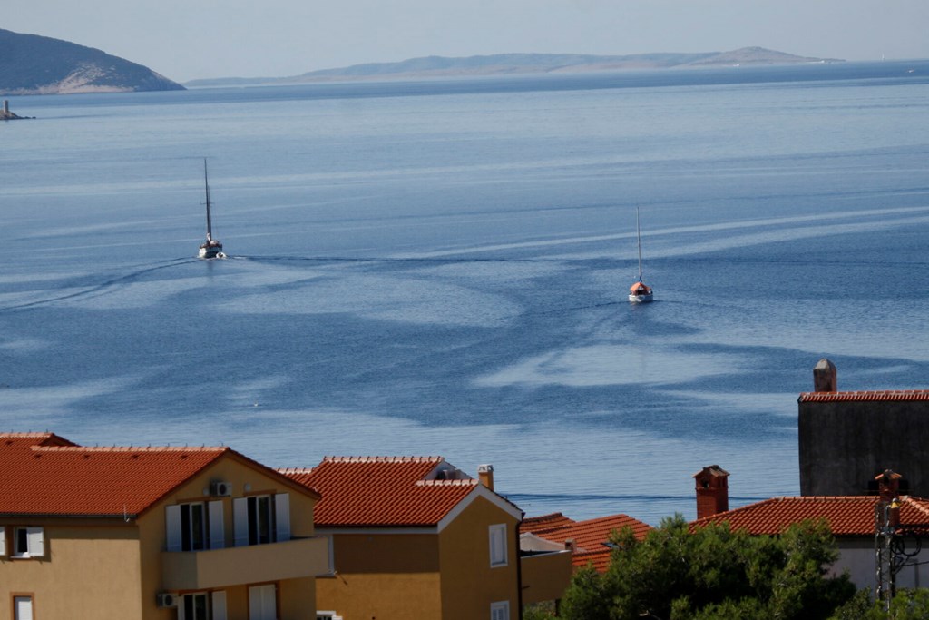 Hotel Zlatni Lav: General view