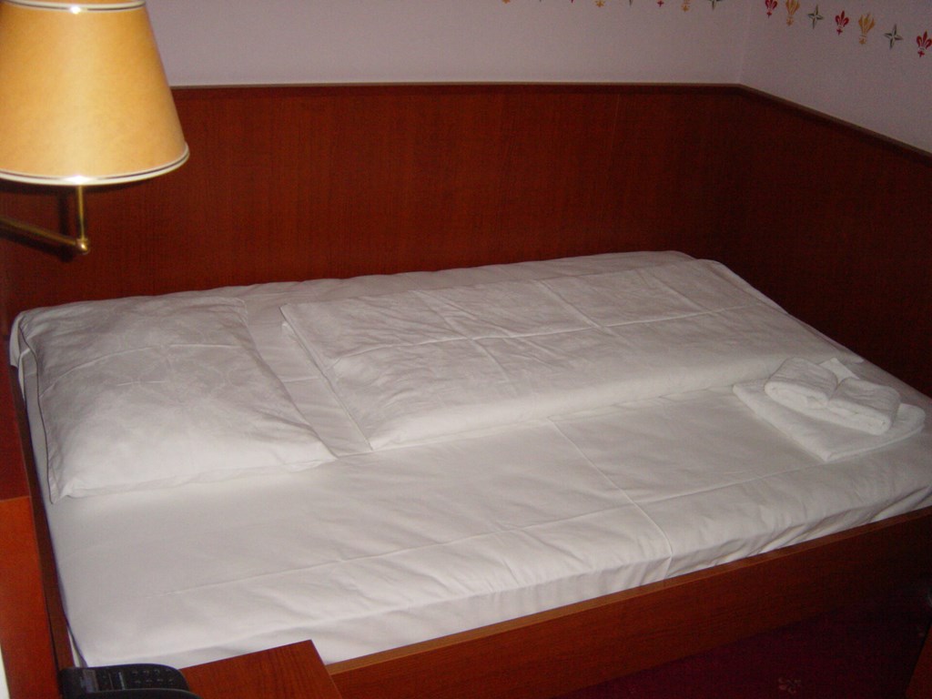 Hotel Risnjak: Room SINGLE STANDARD