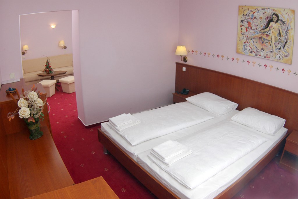 Hotel Risnjak: Room