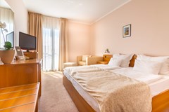 Hotel Malin: Room DOUBLE WITH BALCONY - photo 98