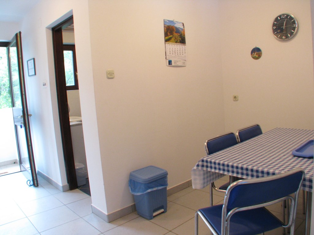 Apartments Pinija: Room APARTMENT CAPACITY 3