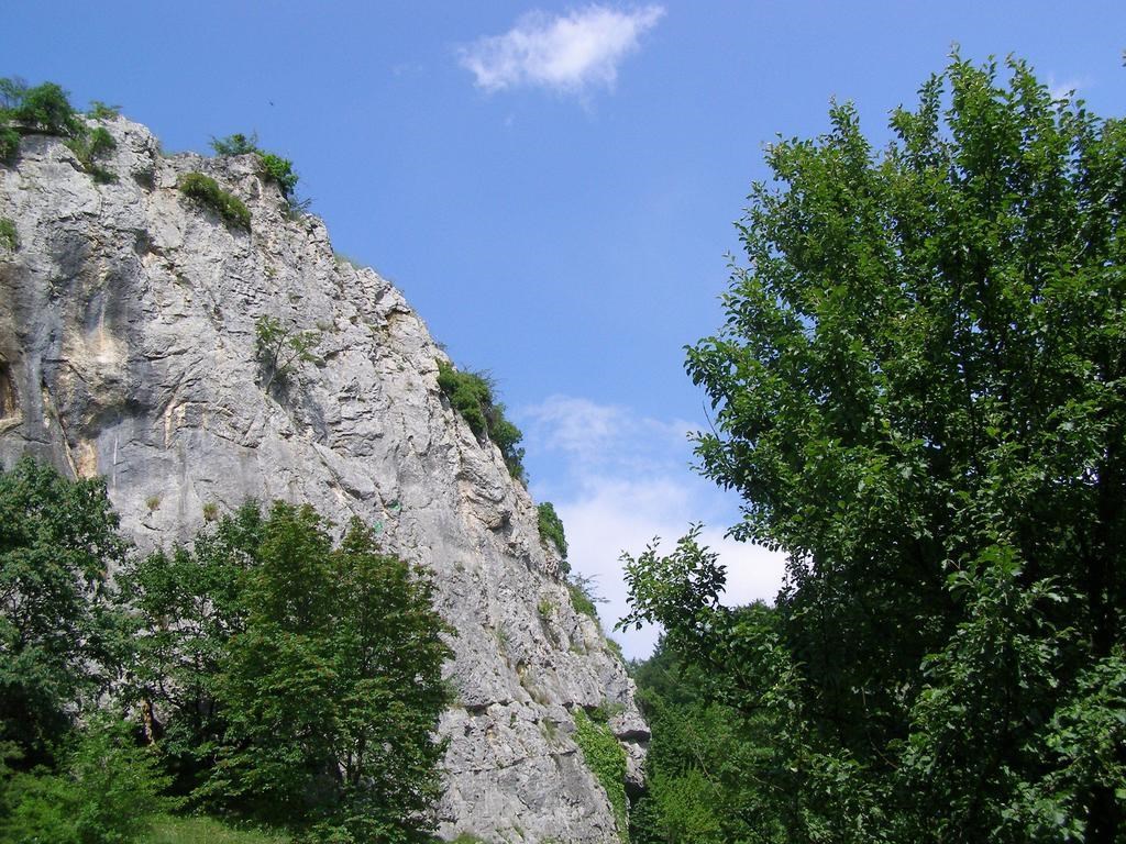 House Marija: General view