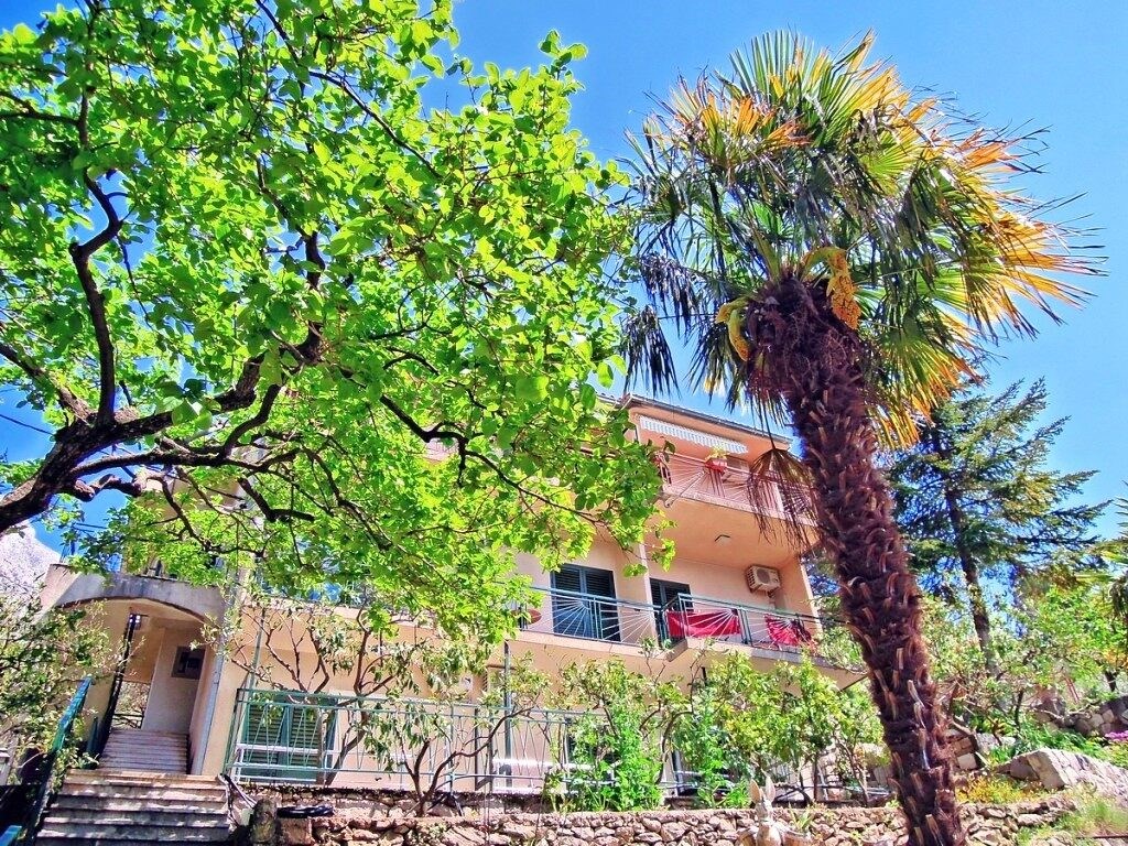 Apartments Lucija: General view