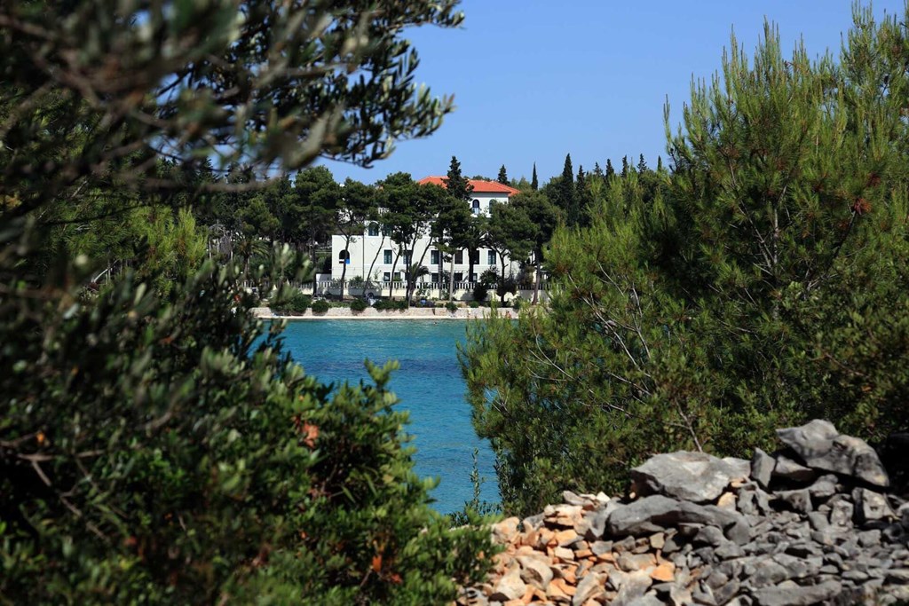 Bluesun Villa Vela Luka: General view