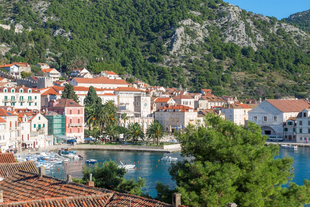 Delfin Hvar: General view