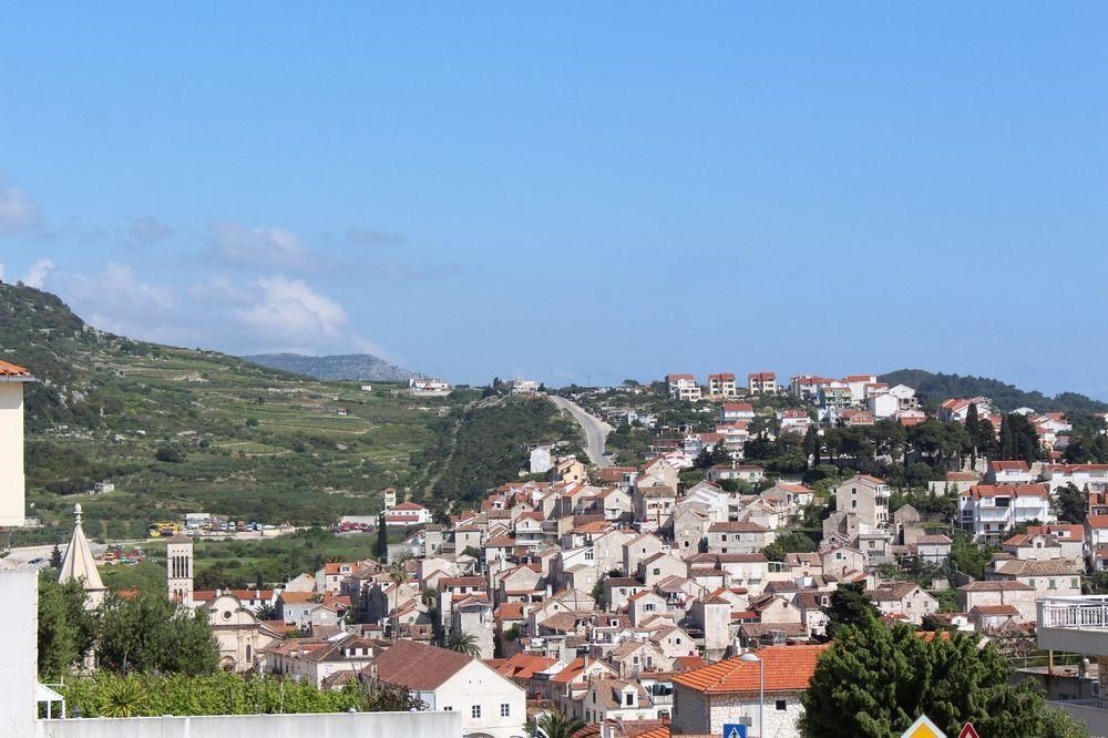 Violeta Hvar: General view