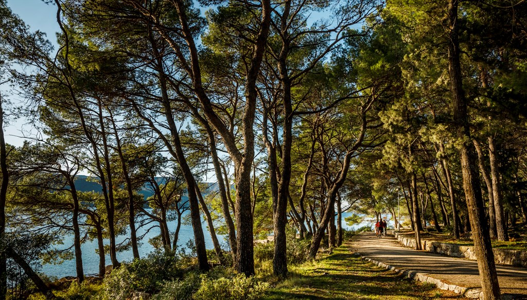 Helios Sunny Apartments by Valamar: General view