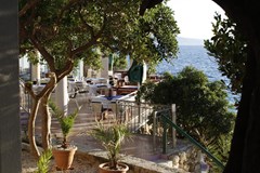 Beach Hotel: Terrace - photo 8