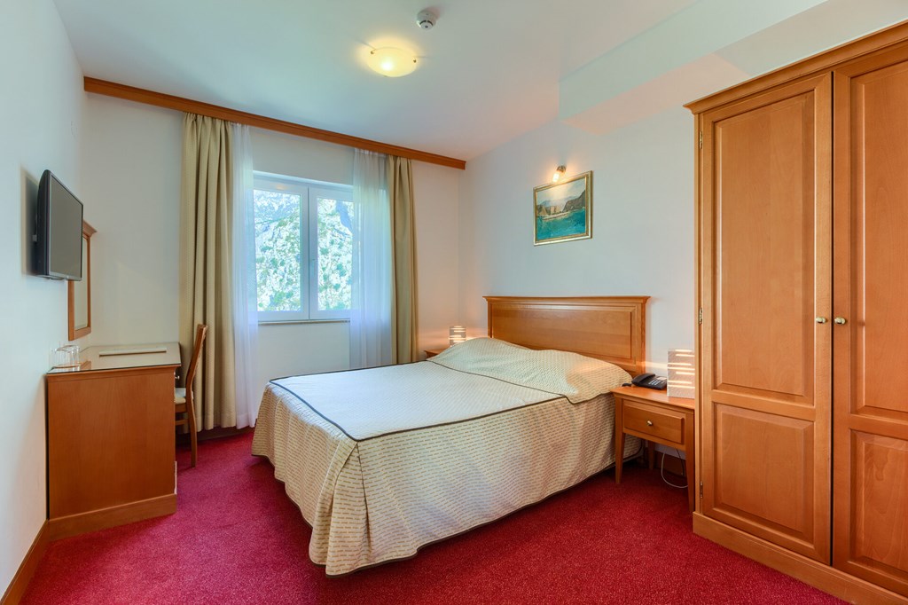 Villa Dvor: Room DOUBLE SINGLE USE RIVER VIEW