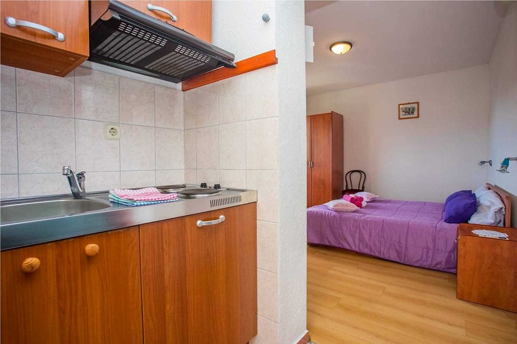 Apartmani Seljacka Kuca: Room APARTMENT WITH AIR CONDITIONING