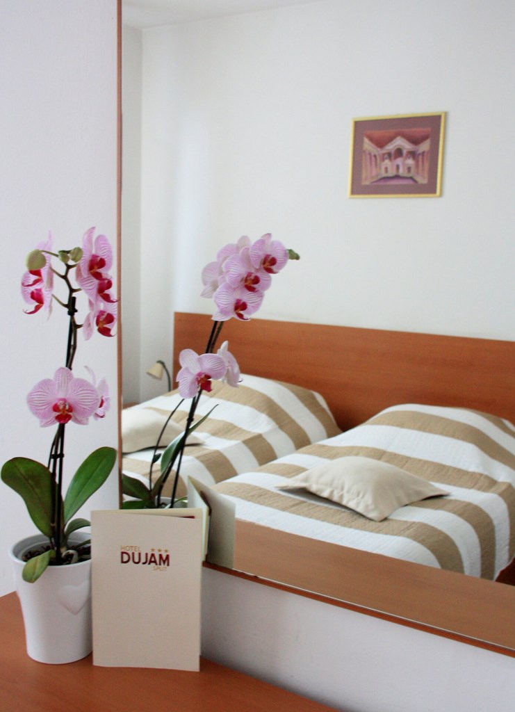 Hotel Dujam: Room TWIN STANDARD