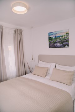 Vida Boutique Hotel: Room SUITE STANDARD - photo 47