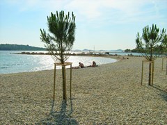 Apartments Marica: Beach - photo 2