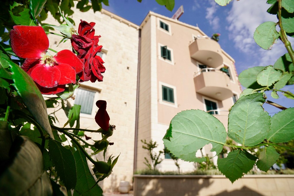 Villa Rustica Dalmatia: General view