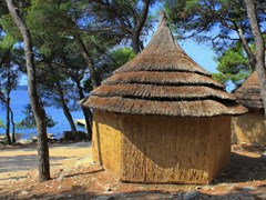 Pine Beach Pakoštane Adriatic: General view - photo 1