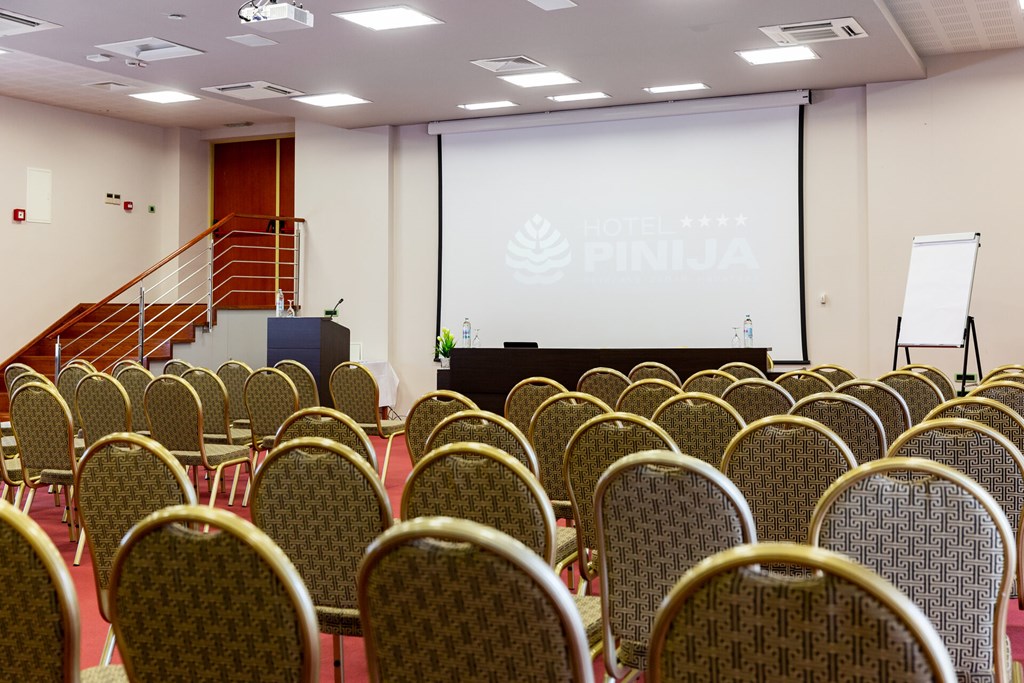 Pinija: Conferences