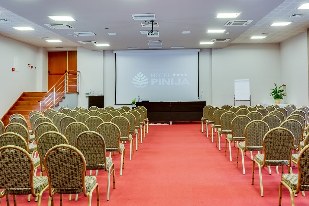 Pinija: Conferences