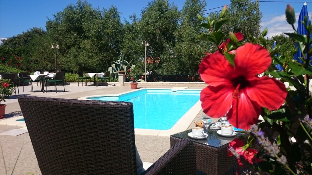 Villa Stari Dvor: Pool