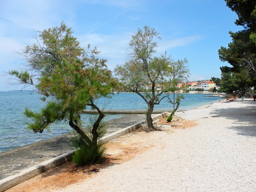 Apartments Bibic: Beach