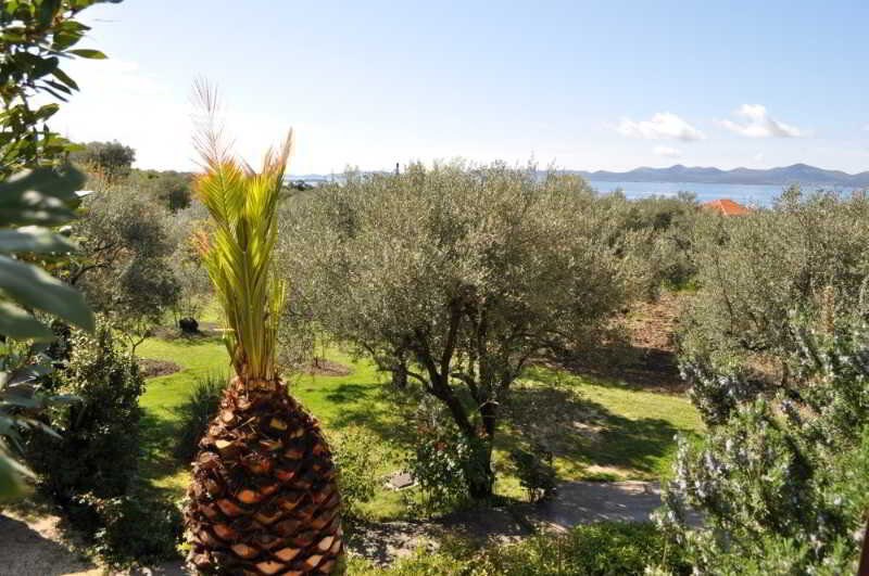 Dolac Guesthouse: Terrace