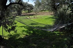 Dolac Guesthouse: Terrace - photo 11