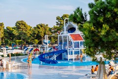 Zaton Holiday Resort 3*: Pool - photo 50