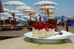 Montenegro Beach Resort: Bar - photo 12