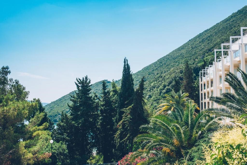 Iberostar Herceg Novi: Room JUNIOR SUITE GARDEN VIEW