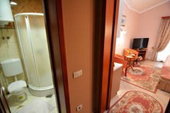 Apartments Bogdanovic: Room STUDIO STANDARD - photo 46