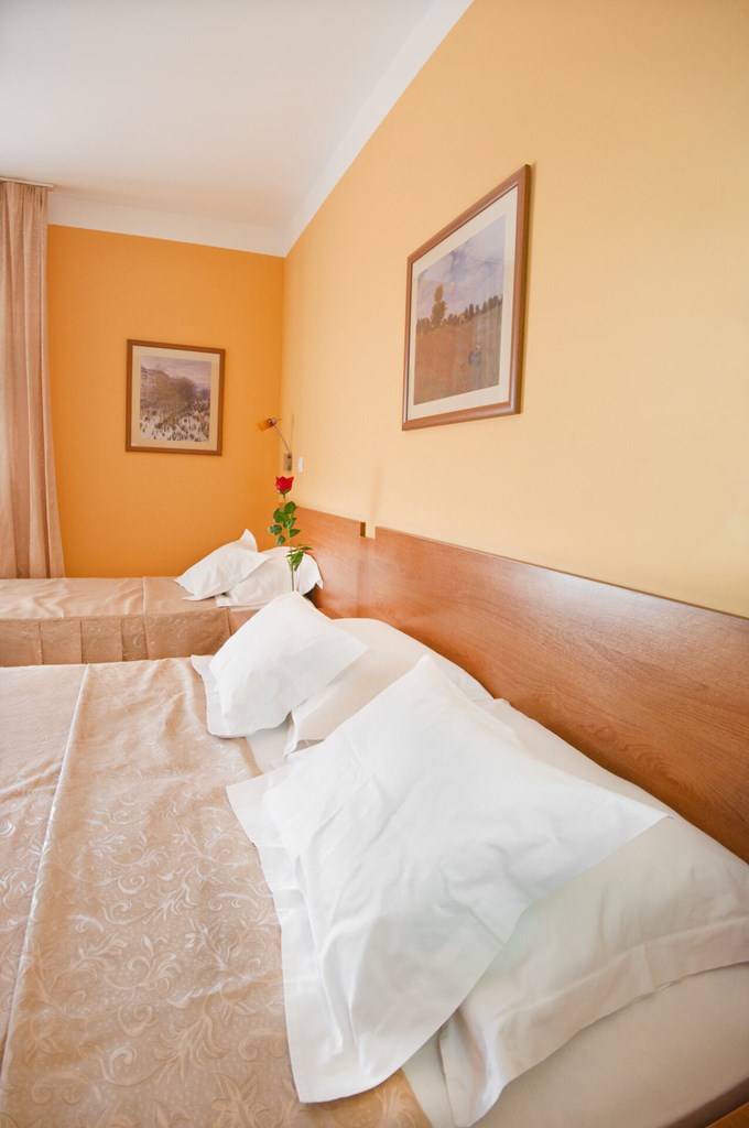 WGrand Petrovac: Room TRIPLE STANDARD