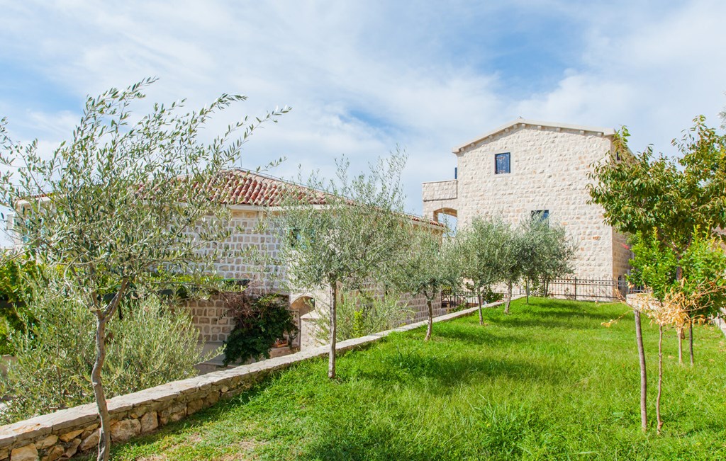 Olive Resort: General view