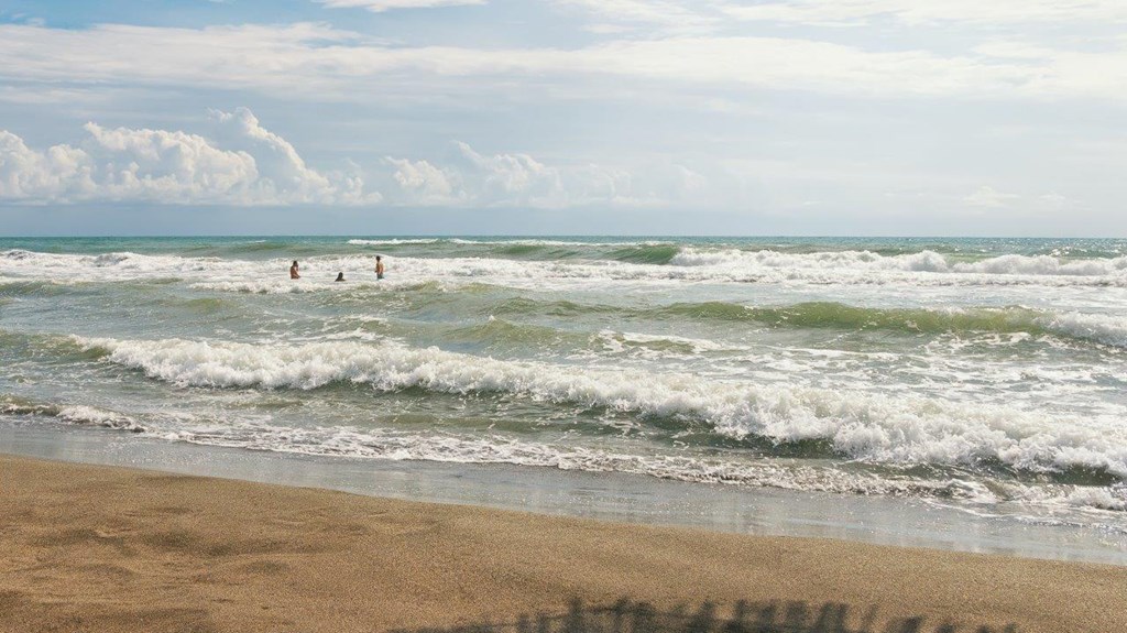 The Long Beach Hotel Montenegro: Beach