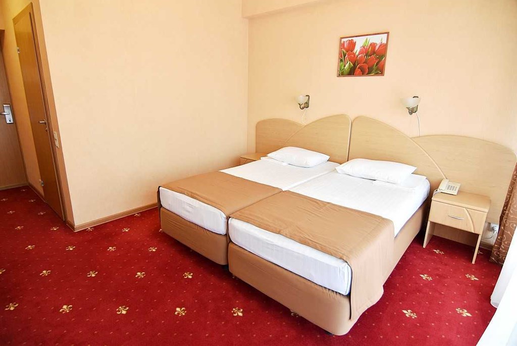 Brigantina (Gelendzhik) Hotel: Standard 2-местный 1 категории 