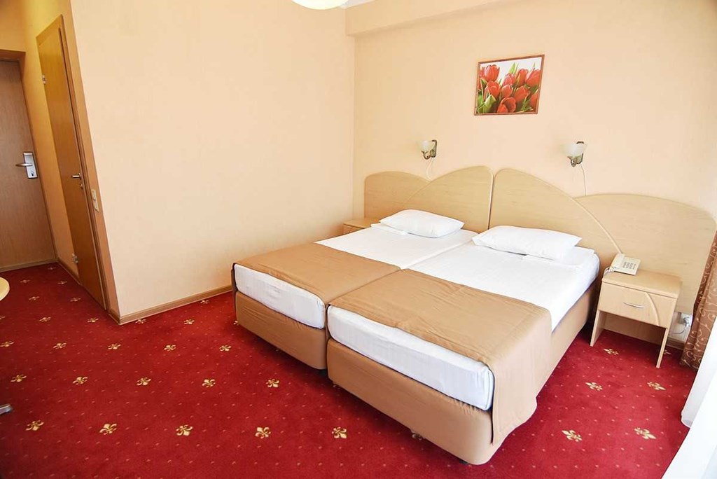 Brigantina (Gelendzhik) Hotel: Standard 2-местный 1 категории 