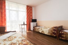 Dubravushka Hotel: Стандарт 3-местный корпус 2,3 Стандарт 3-местный - photo 110