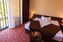 Kaliforniya (Gelendzhik) Hotel: Стандарт 2-местный с видом на горы без балкона - photo 22